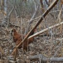 동해유정란농장 이미지