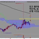 디티코리아 이미지