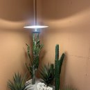 스테이 오년 이미지