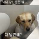 루이안 - 수영구 수영로 694 | 루이안