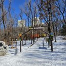 유치부 5~7살 동고비 생태학교 숲체험 수업 3년 후기