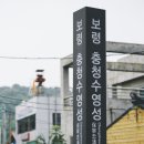 상쾌함과 시원함이 있는 휴가 여행지 `보령 이미지