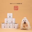 주식회사 펫21 이미지