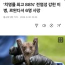 아프리카에서 갑자기 나타난 치명성 바이러스 이미지