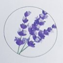 향기품은집 이미지