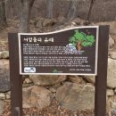 상오리경로당 네이버블로그