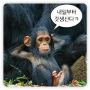게스트하우스 덕산터 | 강원도 정선 여행, 한국의 네팔 덕산터 게스트하우스에서 촌캉스!