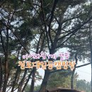 [캠핑]청포대일등캠핑장-물반동죽반, 아이랑함께캠핑