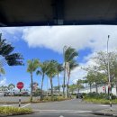 (주)모리셔스 | [모리셔스 신혼여행 day 1-3] 파라디스 비치콤버...3박 후기/ 모리셔스 남부 리조트/ 11월 모리셔스 날씨