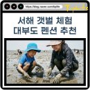 선감농어촌체험휴양마을협의회 | 서해 갯벌 체험 조개잡이 명소 BEST 5 근처 대부도 제부도 펜션 추천