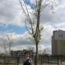 다람산 근린공원 이미지