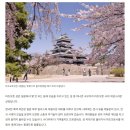 성백이엔씨(주) | 마츠모토(松本).. 마츠모토성 (&amp; 고바야시 소바)