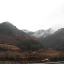 금당산 산하 이미지