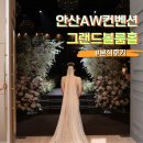 [웨딩일기] &lt;안산AW컨벤션 그랜드볼룸홀&gt; 본식 후기 (하우스오브에이미, 에이바이봄, 엔트런스 스튜디오...
