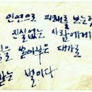 바다매운탕 Daum카페