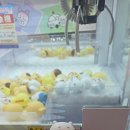 (유)신일고속관광 | 오사카-고베-교토 여행기 (2) feat. 고베 탐방