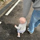 피그 패밀리 이미지