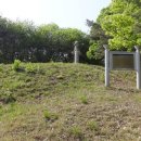 김흥근 선생 묘 이미지