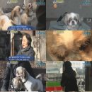 김순복 농장 이미지