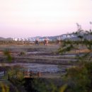 [생태탐방] 소래포구 이미지