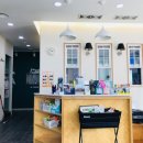 BB 동물병원 이미지