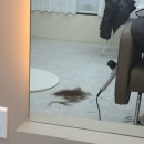 대구 [리네 붙임머리] 내돈내산 후기