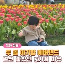 두 돌 아기랑 에버랜드 튤립축제, 생각보다 훨씬 좋았던 5가지 이유