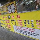 장수생오리 이미지