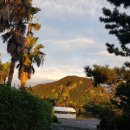 제주소식/제13호 태풍,링링~~~경로! 이미지