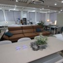 일광유통 | 일광소파싸게파는곳 모르면 손해예요