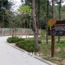 함태초교 이미지