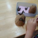 율정초등학교 병설유치원 이미지