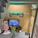 캣플 코지눅 대전은행점 | 대전 은행동 고양이 카페, 캣플코지눅 대전은행점 방문 후기 올려요(내돈내산)