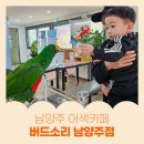 버드소리 남양주점 | 남양주 이색 카페 ‘버드소리’, 아이와 가볼만한 곳 추천!