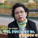 명진관광 여행사 이미지