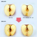 뷰티코어 이미지