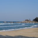그로브동산