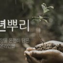 천년뿌리인삼튀김 이미지