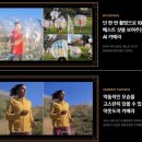 쵸파통신 네이버블로그