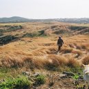 등머울 민박 이미지