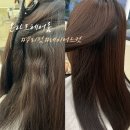 더하르헤어 - 안산시 단원구 화정로1길 23 | 울산레이어드컷 삼산 #온하르헤어룸 뿌리펌 후기