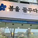 봄을꿈꾸다