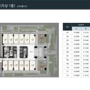 메타플렉스 이미지