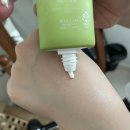 후르디아 세범 컨트롤 청포도 선젤 | 여름 선젤