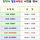 용인대 월드 태권도장 이미지