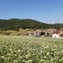 어부손씨민박 이미지