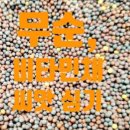 사람이랑 흙이랑 이미지