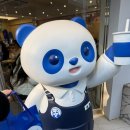 고포차 | 차백도 후기“🧋”