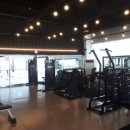 굿라이프 휘트니스클럽 이미지