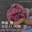 하곤법경로당 | 독일 본 당일치기 소도시 여행 코스 : 벚꽃 명소 하리보 팩토리 아울렛 쾰른
